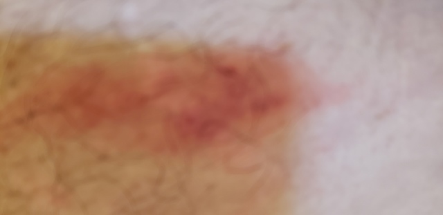 20190712_203415.jpg